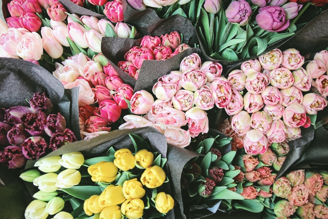 Seasonal flower availability chart for ethical buyers