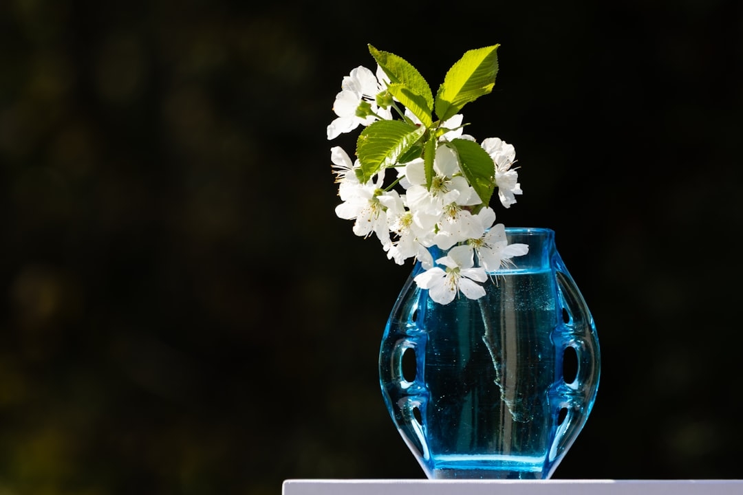 Filtered vs tap water for flower vases